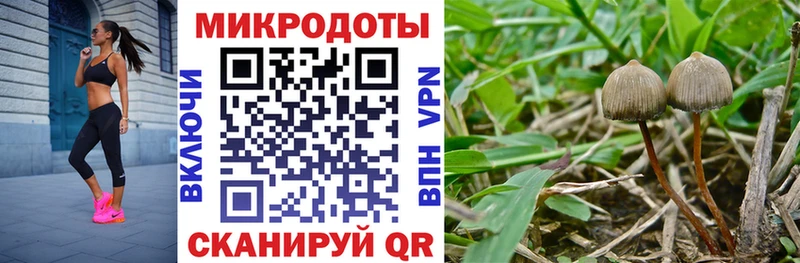Галлюциногенные грибы мухоморы Саранск