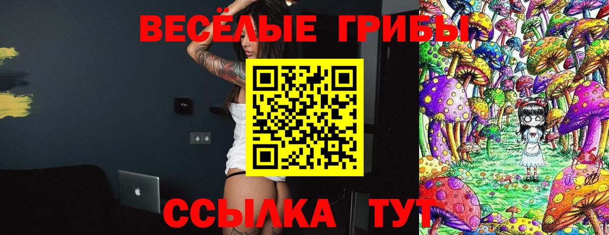 Псилоцибиновые грибы MAGIC MUSHROOMS Саранск