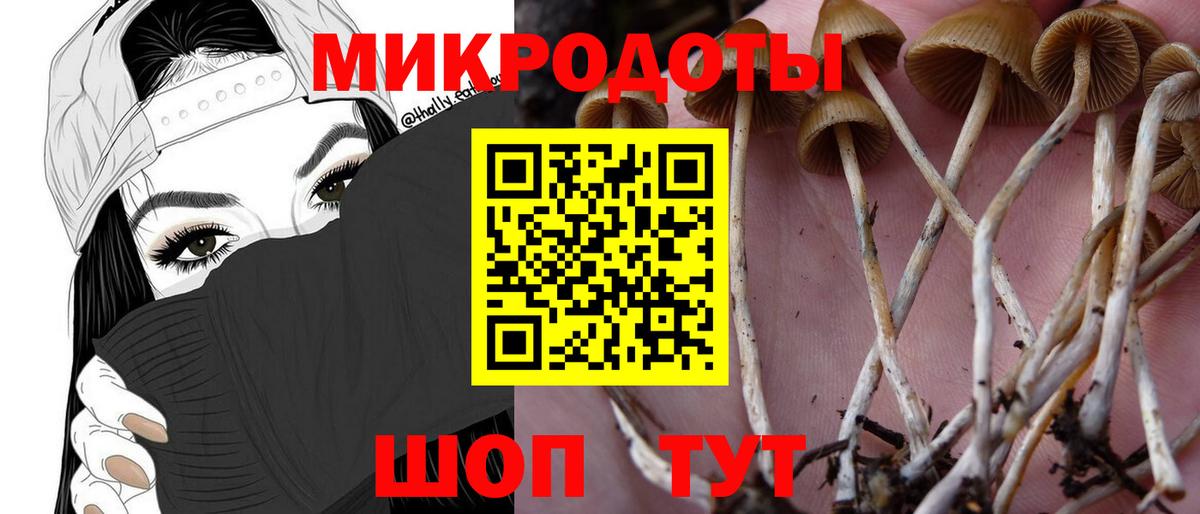 Галлюциногенные грибы MAGIC MUSHROOMS  Саранск  купить наркоту  Псилоцибиновые грибы мухоморы 