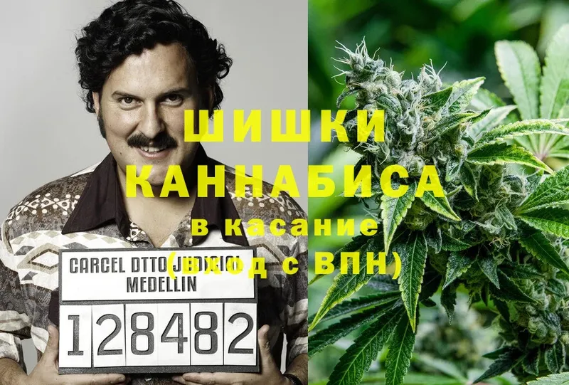 купить закладку  Саранск  Бошки Шишки THC 21% 